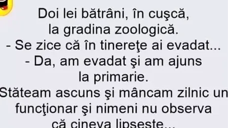 BANCUL ZILEI | Leul și administrația publică