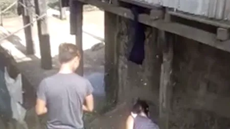 Fenomen foarte rar: Momentul șocant în care un roi de albine „colonizează