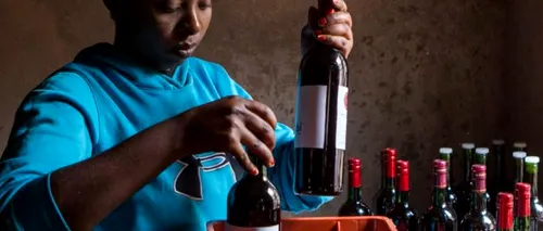 Vinul din SFECLĂ ROȘIE, un nou trend în rândul pasionaților de băuturi deosebite. Rwanda a dat tonul, germanii sunt încântați