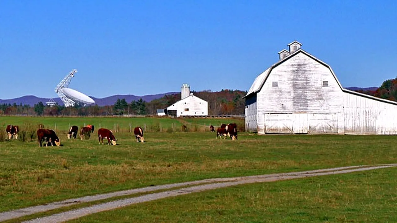 Orașul în care este ilegal să folosești un smartphone, Wi-Fi sau Bluetooth. Ce pedepse riscă cei care încalcă regula