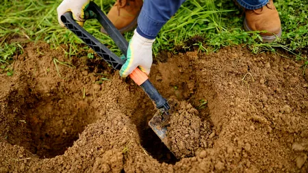Un fermier a descoperit o comoară în valoare de 4 miliarde de euro în grădina casei sale