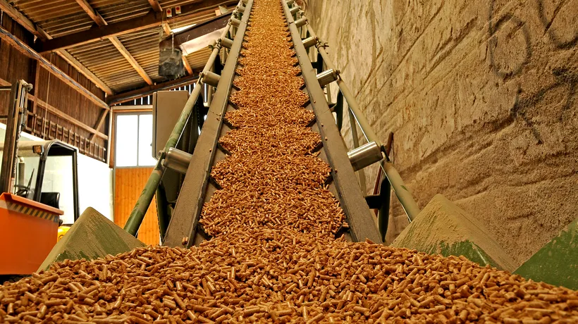 General Electric: România are un potențial imens privind producția de biomasă
