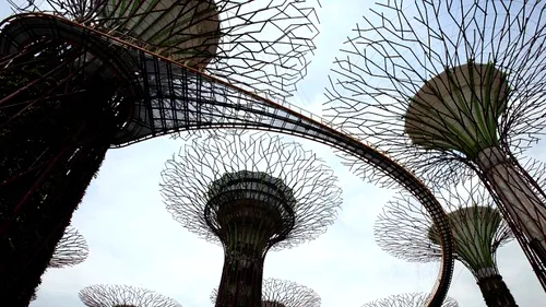 GALERIE FOTO: Pădurea de 50 de metri înălțime, cea mai nouă atracție turistică din Singapore