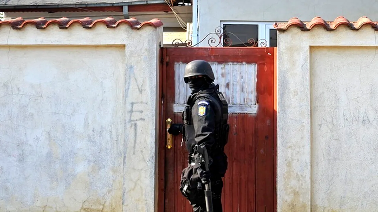 CULTURĂ DE CANNABIS descoperită în subsolul unei case. Plantele erau stimulate să crească prin muzică