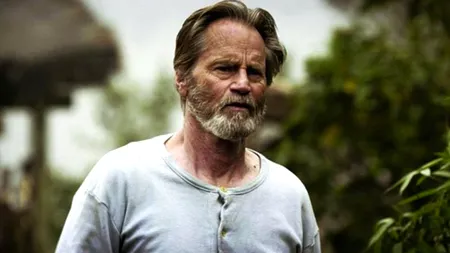 Ce surpriză au avut polițiștii din New Mexico, după ce au oprit un șofer care își conducea mașina cu frâna de mână trasă