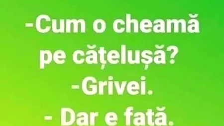 Bancul de luni | „Cum o cheamă pe cățelușă?”