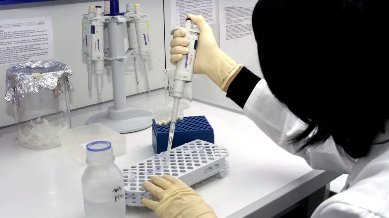 Brain Romania. Cercetătorii români care muncesc în străinătate au propria rețea de socializare