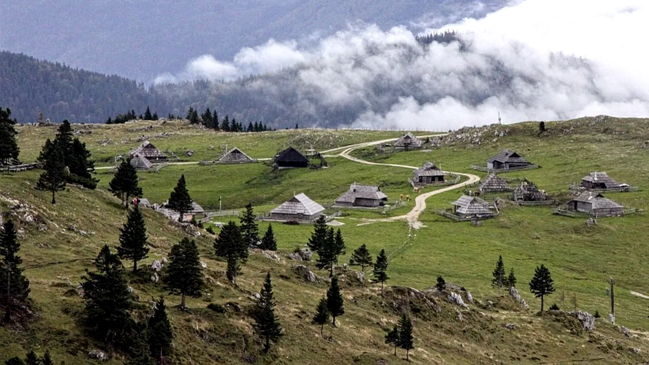 Funcția pentru care se bat un milionar american și un macedonean sărac