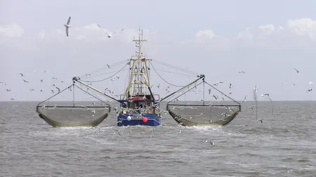 Accident naval în marea Chinei. 17 persoane dispărute