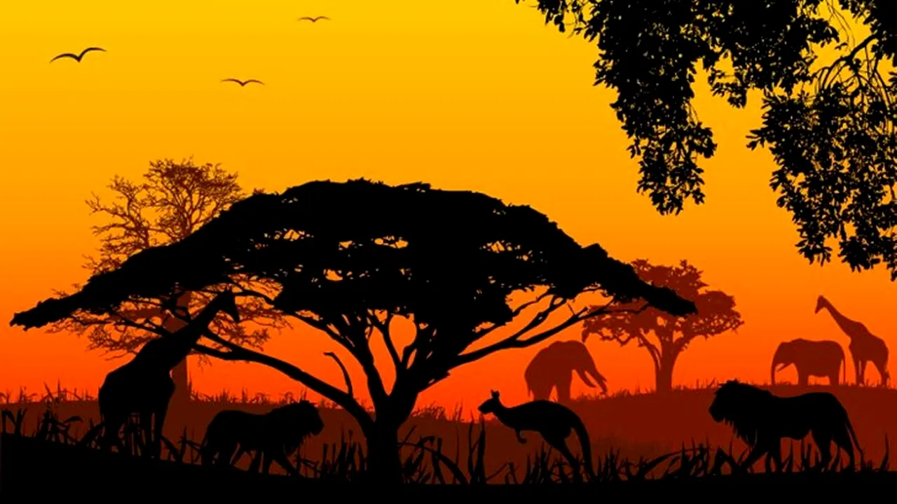 Test de inteligență | Ce animal nu are ce căuta în această imagine? 7 din 10 se lasă bătuți