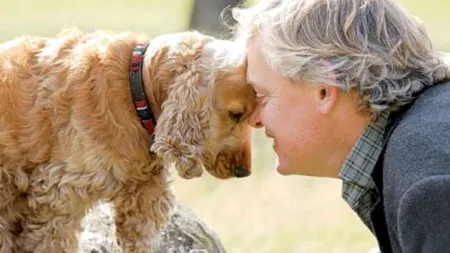 STUDIU. Câinii empatizează cu persoanele care plâng