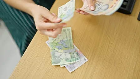 Românii care vor primi lunar 500 de lei de la stat în 2024. Cererile se depun până la finalul acestui an