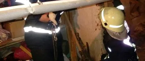 Pui de cățel prins între doi pereți ai unui imobil, salvat de ISU Timiș 