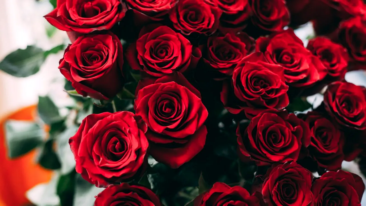 Cui spunem ”La mulți ani!” pe 18 octombrie. Mii de români își serbează ziua onomastică