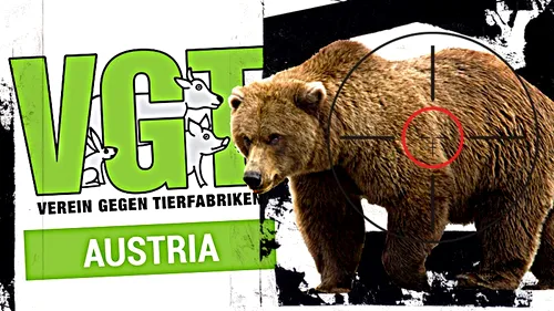 Coordonatoarea organizației din Austria care a reclamat uciderea ursului Arthur: ”Este revoltător că oameni influenți pot vâna animale protejate în alte țări pentru mulți bani” (INTERVIU EXCLUSIV)