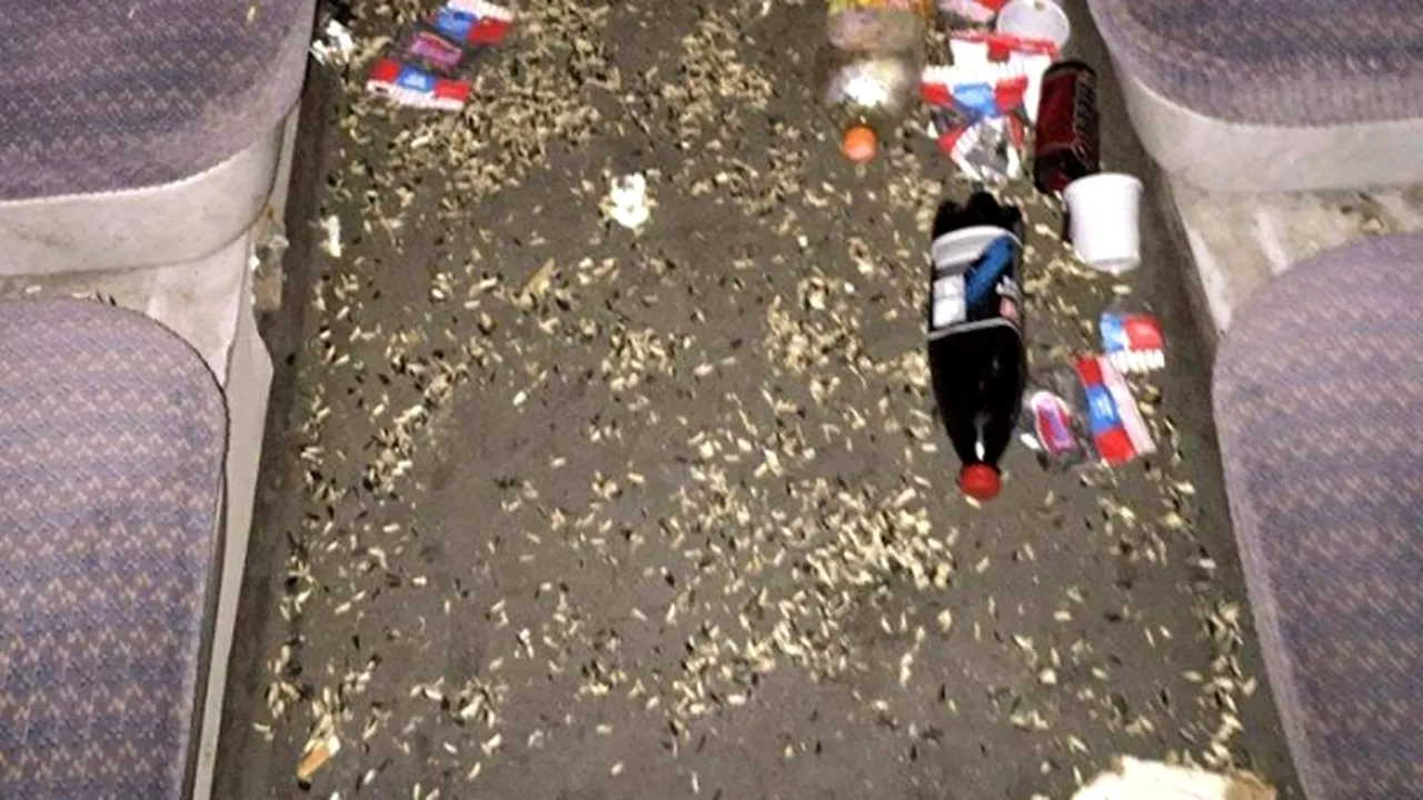 Schimbare importantă pentru românii care merg cu trenul. Decizia va fi obligatorie