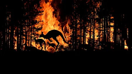 Oamenii de știință de top avertizează cu privire la „viitorul teribil al extincției în masă” și la perturbarea climatului: „Deteriorarea mediului este infinit mai amenințătoare pentru civilizație decât Trumpismul sau COVID-19”