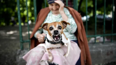 Mediafax Foto a lansat albumul de fotografie 