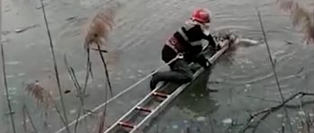 GÂNDUL LIVE. Un câine căzut într-un râu înghețat, salvat în ultima clipă de pompierii din Alba