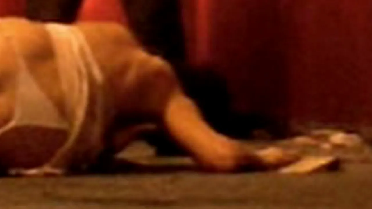 Mărturisirea cutremurătoare a unei actrițe din serialul 