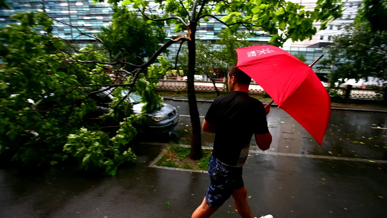 ANM ar putea emite un cod portocaliu de vânt puternic