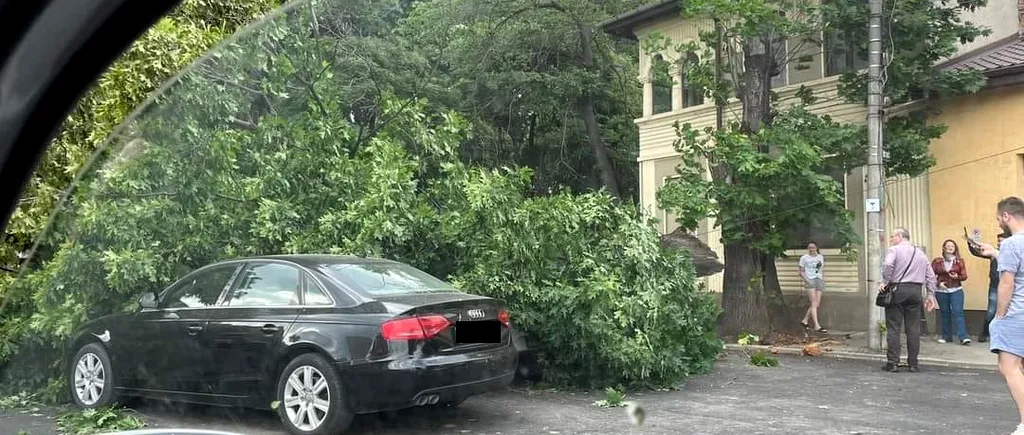 FOTO | Efectele codului galben de VÂNT puternic din Capitală: O persoană rănită, copaci doborâți de rafalele puternice și mașini distruse (UPDATE)