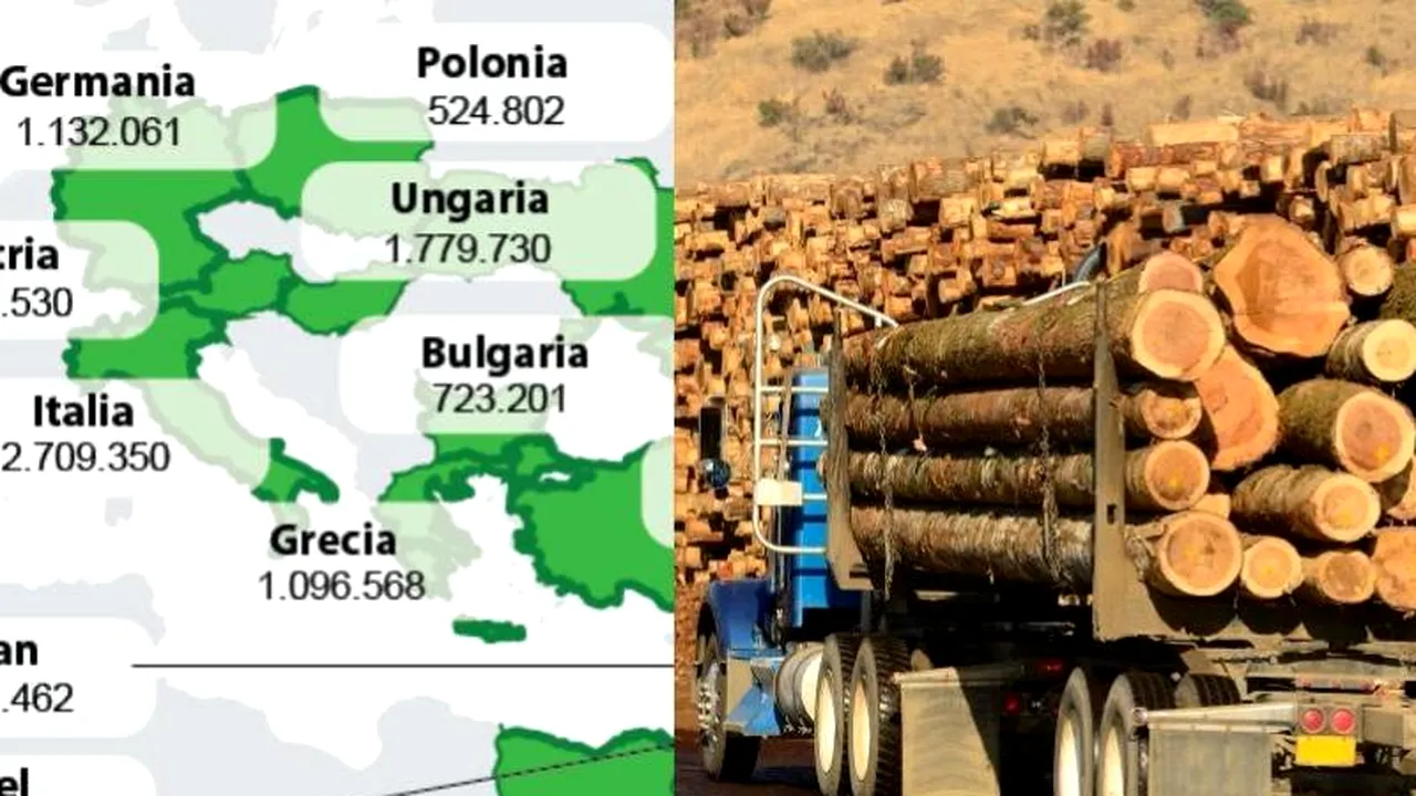 DRUMUL LEMNULUI ROMÂNESC ÎN LUME. Topul statelor în care România a exportat cea mai mare cantitate de lemn în ultimii 11 ani