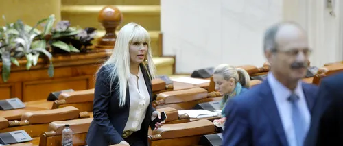 Elena Udrea poate fi urmărită penal: „Este ceva între la revedere și o slujbă de veșnică pomenire
