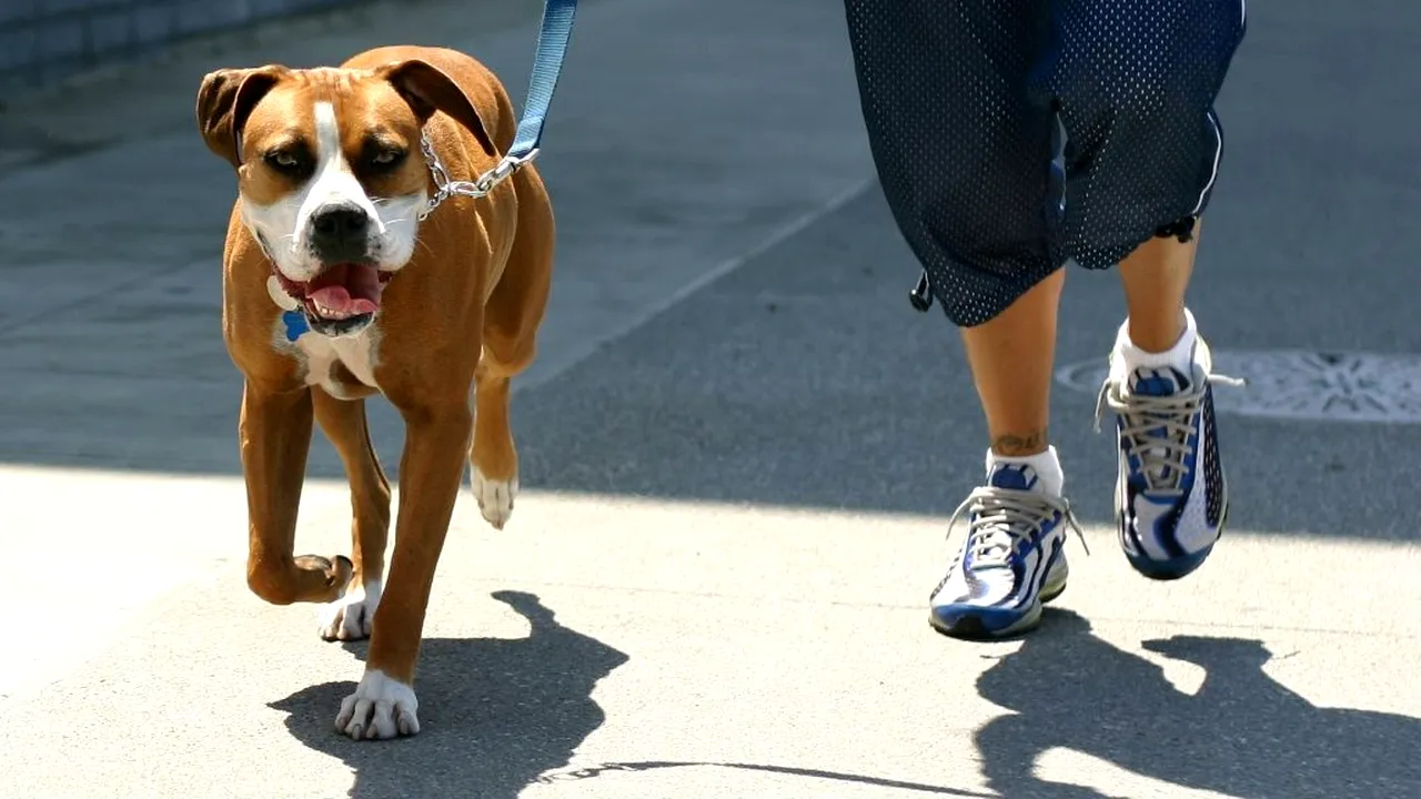 Caz ȘOCANT în Marea Britanie. Un tânăr a fost omorât în bătaie de trei copii de 15 ani. Motivul este ireal