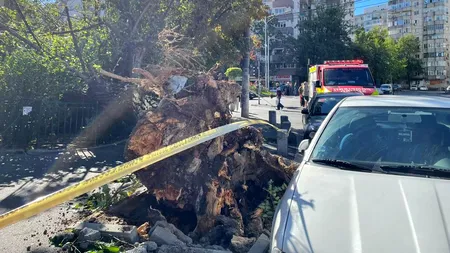 VIDEO | ANM a emis coduri portocalii de vânt puternic pentru opt județe. În Capitală, pompierii intervin în peste 20 de cazuri de copaci căzuți