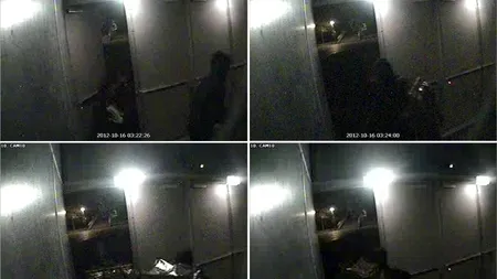 Cel puțin unul dintre tablourile furate din Olanda a fost ars în casa mamei unuia dintre hoți