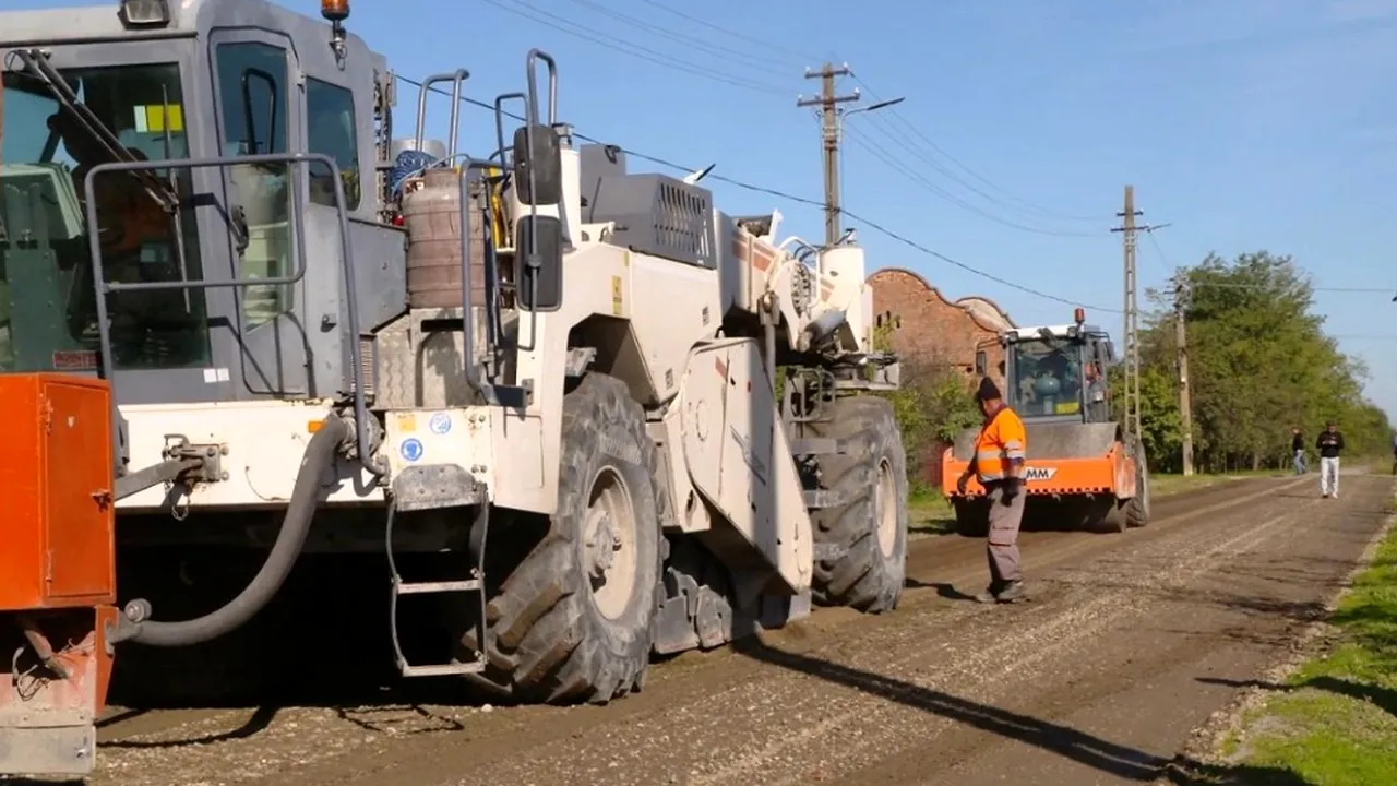 Valorificarea LIGNINEI | Cum pot fi înlocuiți combustibilii fosili cu „Cenușăreasa” biomasei