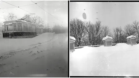 „MARELE VISCOL” din 1954, anul cu cea mai grea iarnă din istorie. Cum au supraviețuit românii ninsorilor abundente/Nămeți de 5 metri! (GALERIE FOTO)