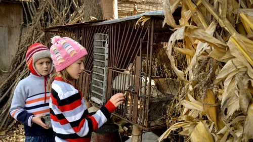 Cinci probleme care fac din copiii României „noua generație de săraci a Europei
