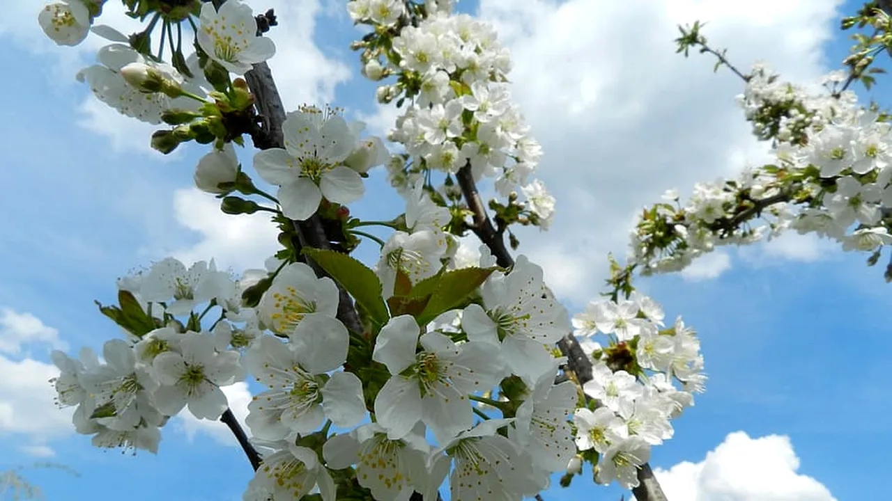 METEO. ANM anunță un val de căldură din Africa