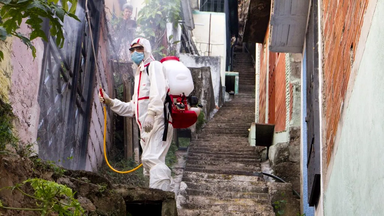 ANUNȚ. Primăria Sectorului 2 începe dezinsecția împotriva țânțarilor. Acțiunea are loc noaptea, timp de zece zile