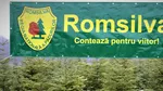 Avalanșă de candidați pentru funcția de director general interimar la Romsilva