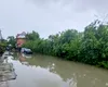 Ploile torențiale și grindina lasă DEZASTRU în urma lor în mai multe zone din țară: case inundate, copaci căzuți peste mașini, un pod s-a surpat