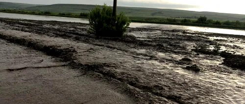 Natura dezlănțuită în Vaslui: Zece gospodării inundate și două drumuri acoperite de ape - FOTO 