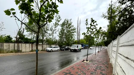 UPDATE | Robert NEGOIȚĂ, plângeri la Poliție. „Oameni răi, ticăloși, au pus soluție la rădăcina copacilor”. Cum s-a lămurit misterul substanței albe