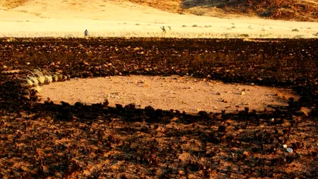 Ce explicație au cercetătorii pentru cercurile  lipsite de vegetație care apar în Africa