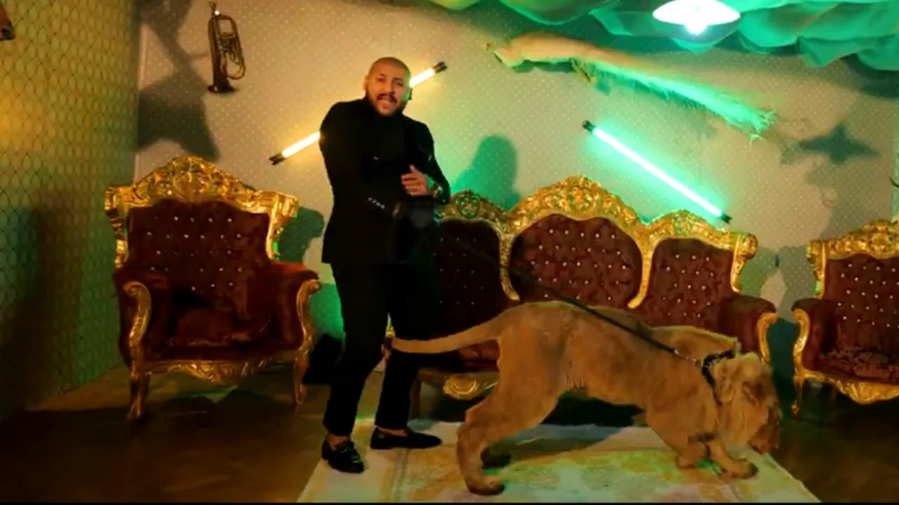 Dansatoarele lui Dani Mocanu, aduse la Poliție în dosarul de schingiuire a leului din ultimul videoclip al cântărețului. Ipoteză sumbră în cazul animalului rănit și bolnav (EXCLUSIV)