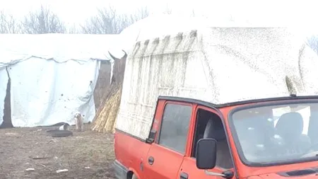 A făcut friptură dintr-o pasăre rară, protejată de lege. Resturile le-a dat câinelui / Reacția Poliției: Nu este vânător și nu deține arma