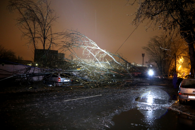 90 de copaci rupți de vânt au căzut pe carosabil și pe 49 de mașini