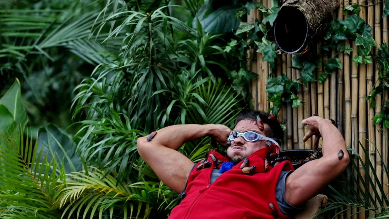 Câți români s-au uitat la a treia ediție a emisiunii „Sunt celebru, scoate-mă de aici!''