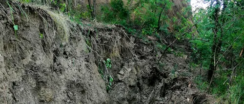 O alunecare de teren s-a produs într-un sat din Vâlcea. Patru gospodării, în pericol - FOTO&VIDEO