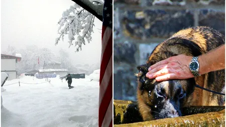 Vreme la extreme în America: NINSORI puternice în nord și temperaturi de peste 35 de grade în sud | VIDEO