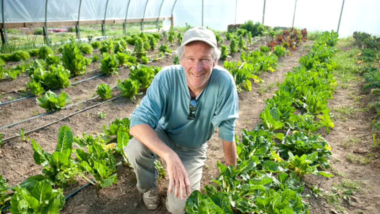 Fabrică de solarii la cheie, înființată în apropierea Bucureștiului. Cât costă amenajarea unui solar