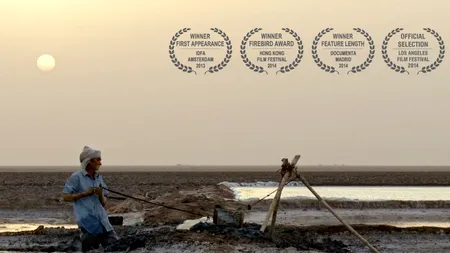 Festivalul Internațional de Film despre Oameni și Mediu - PELICAM începe vineri, la Tulcea. Ce filme puteți vedea în premieră la ediția din acest an. VIDEO