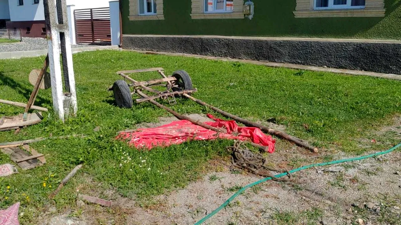 Șase frați și mama lor au fost răniți, după ce căruța în care se aflau s-a răsturnat